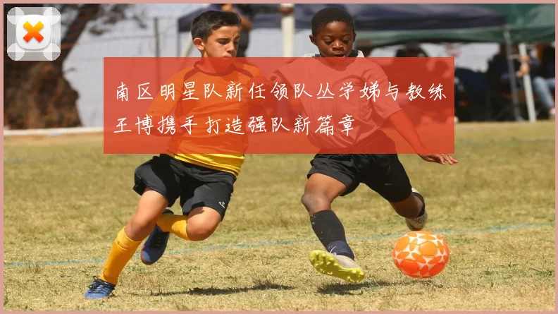 南区明星队新任领队丛学娣与教练王博携手打造强队新篇章